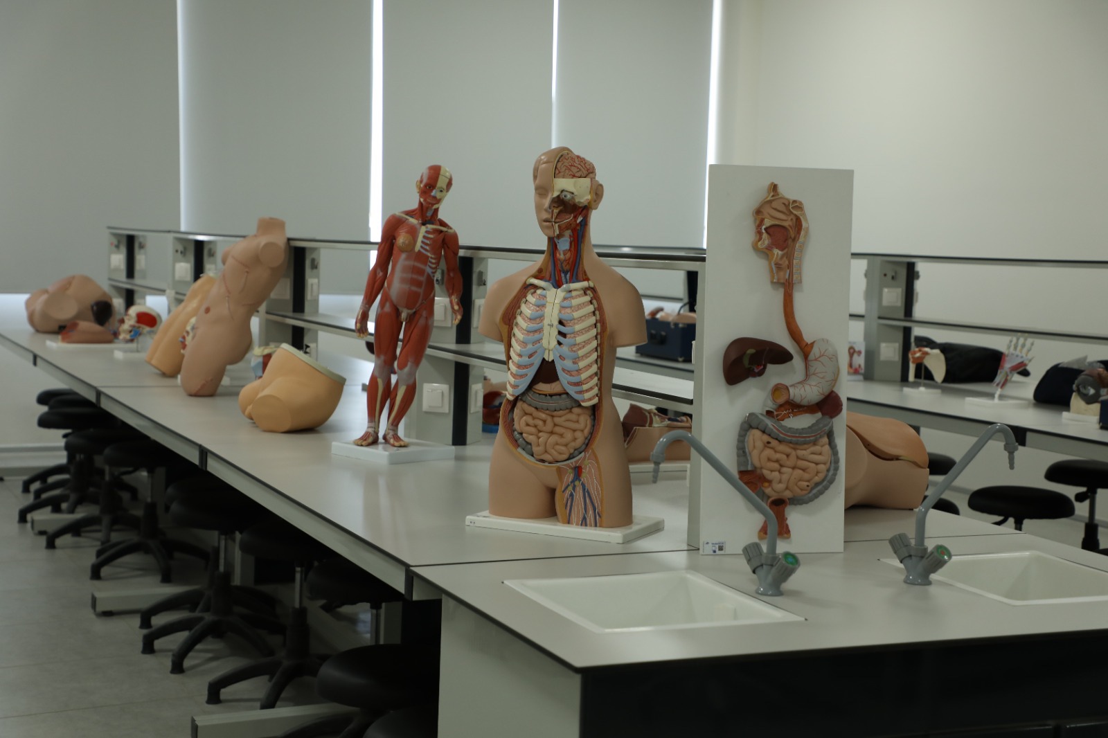 Anatomy Laboratory
